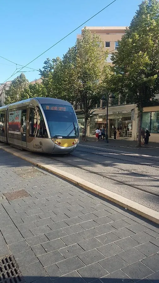 Bed & Breakfast Seaside Tram Haven: Budget-Friendly Room with Kitchen and Views Nice